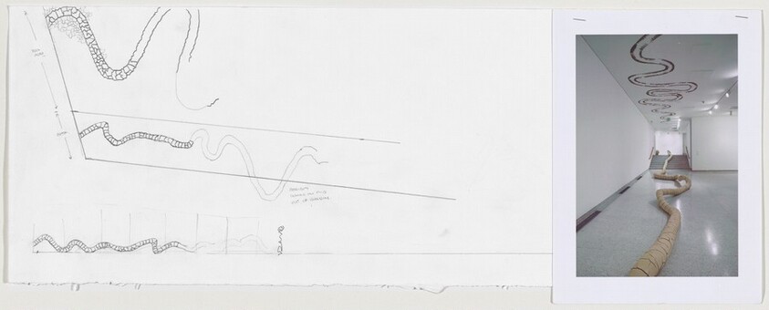 Clay with Clay Branch