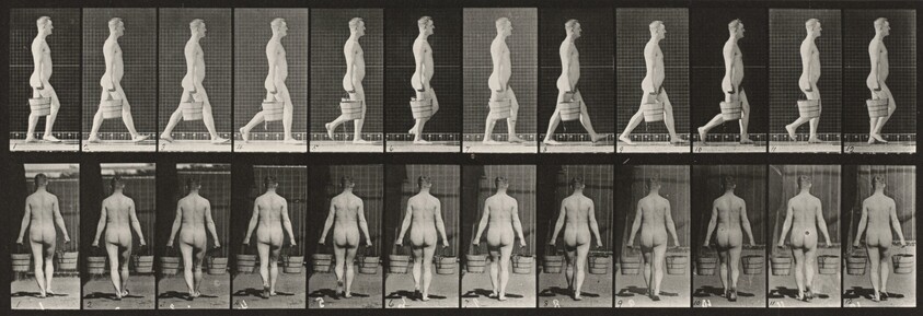 Plate Number 30. Walking and carrying a bucket of water in each hand