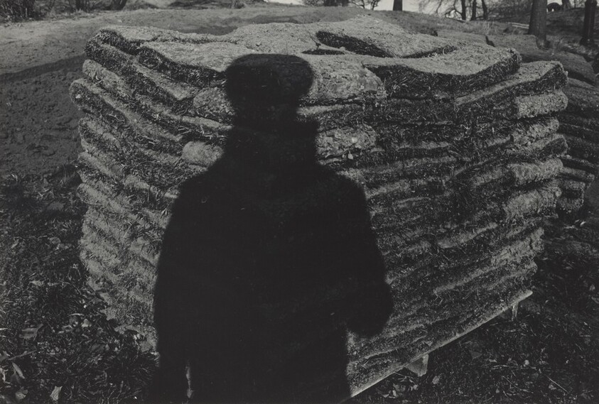 Central Park, New York City