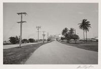 Miami, Gus Kayafas, 1984