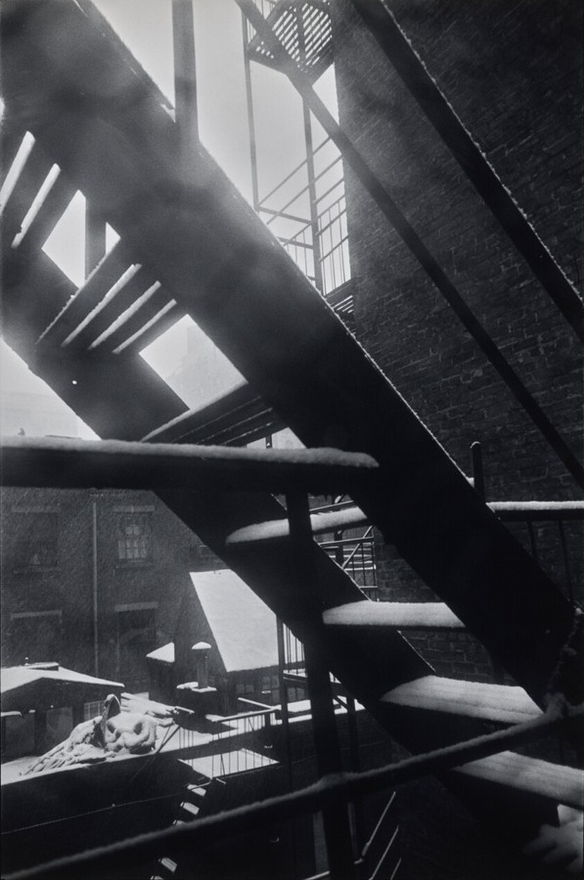 From Back Window, 133 West 22nd Street, New York