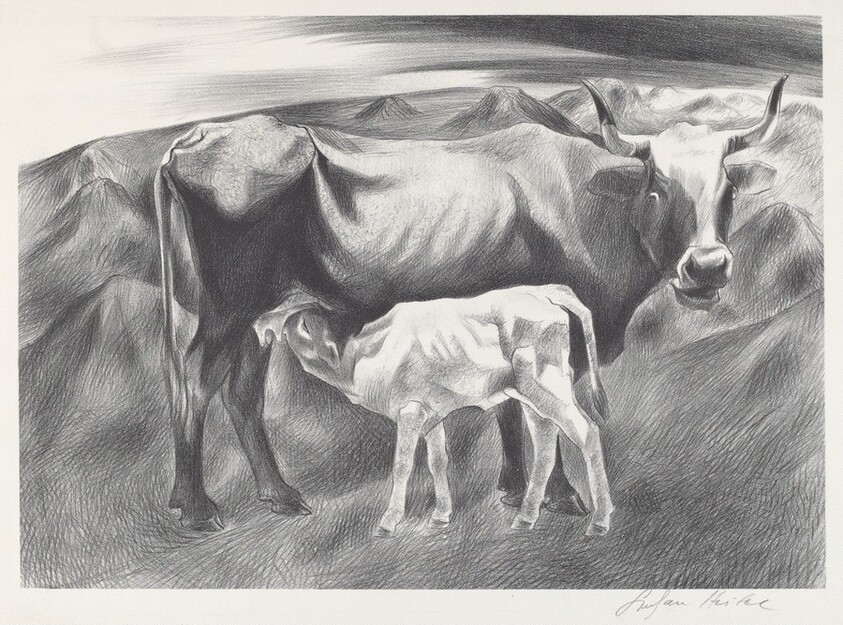 Cow and Calf