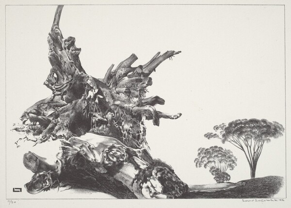 The Quick and the Dead