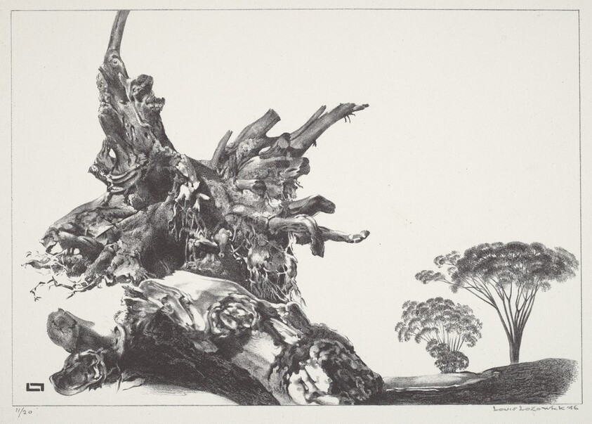 The Quick and the Dead