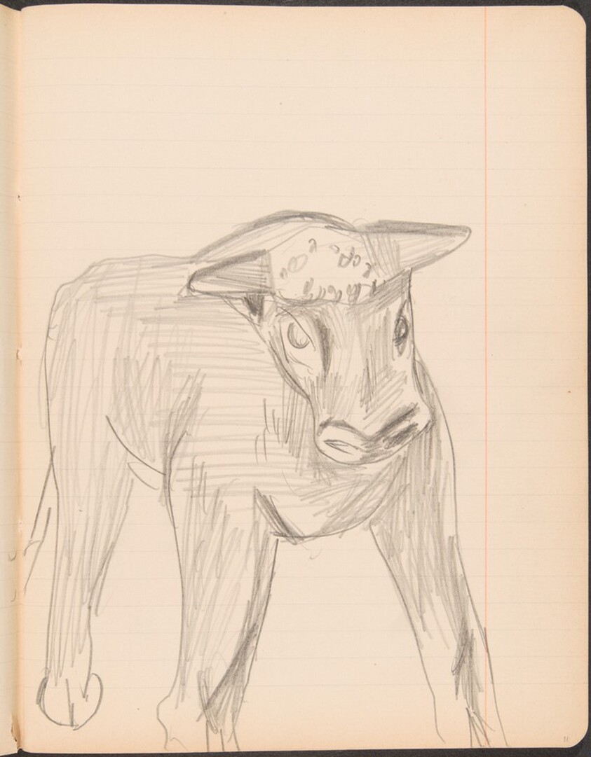 stehendes Kalb, weiter ausgeführt (Standing Calf) [p. 11]