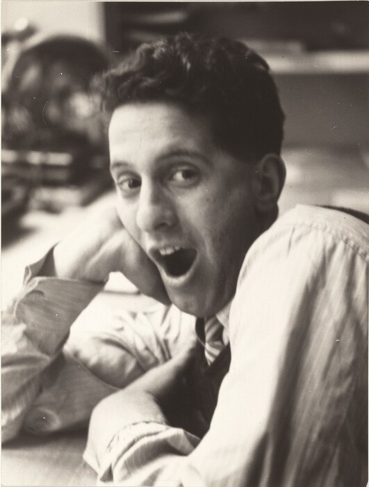 The image depicts a young man leaning on his elbow with his hand supporting his head. He is facing slightly to the side but looking towards the camera, with his mouth open. His facial features include a wide-eyed expression, a high forehead, and short, slightly curly hair. He is dressed in a collared shirt with vertical stripes under a vest. There are blurred office items in the background, such as a globe and stacks of paper. The image is in black and white.