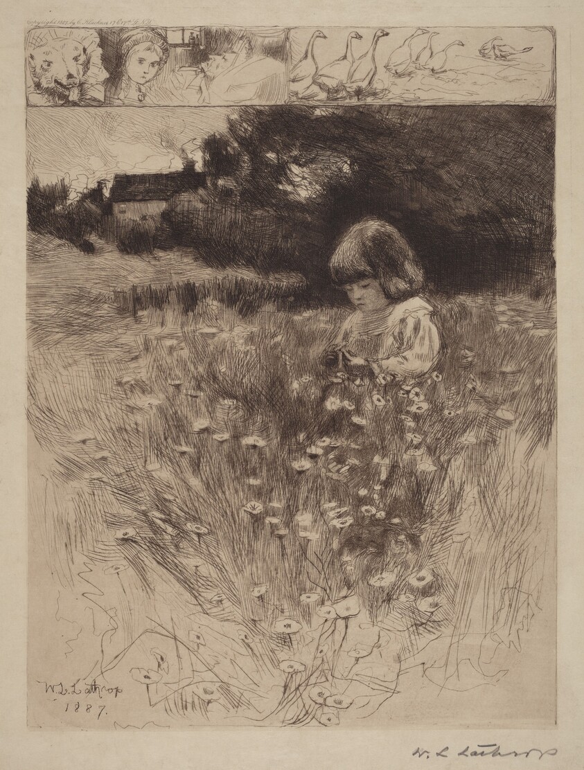 Little Red Riding Hood