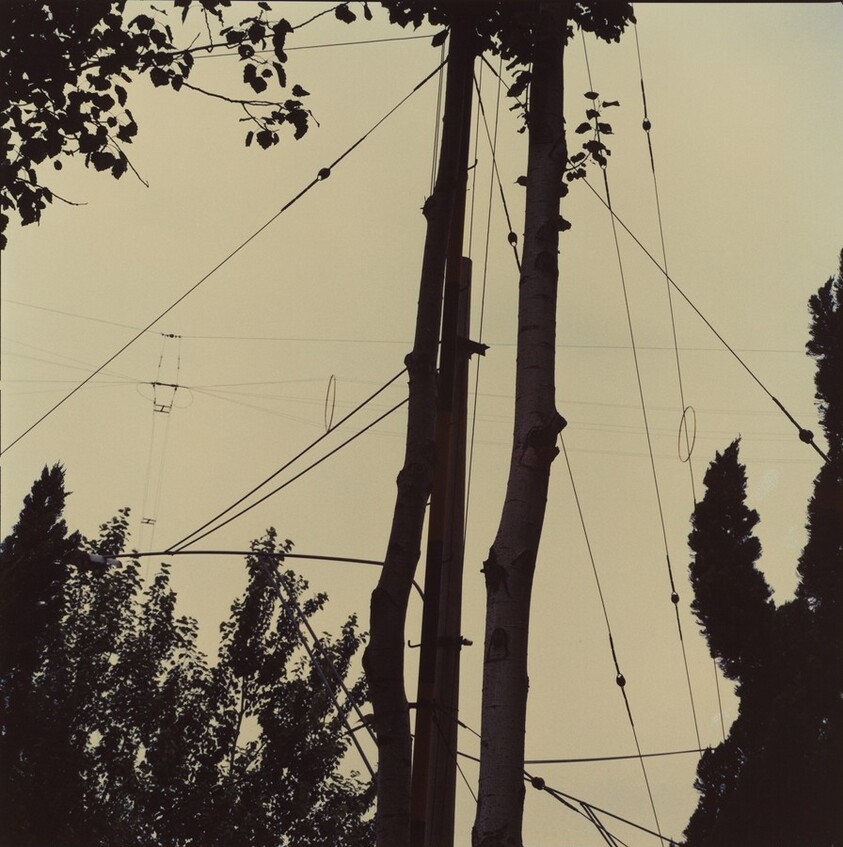 Study for Chinese Summerhall