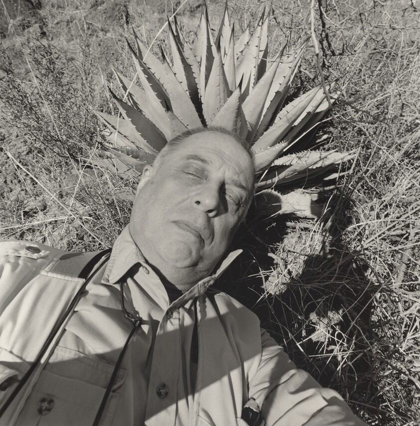 Davis Mountains, Texas