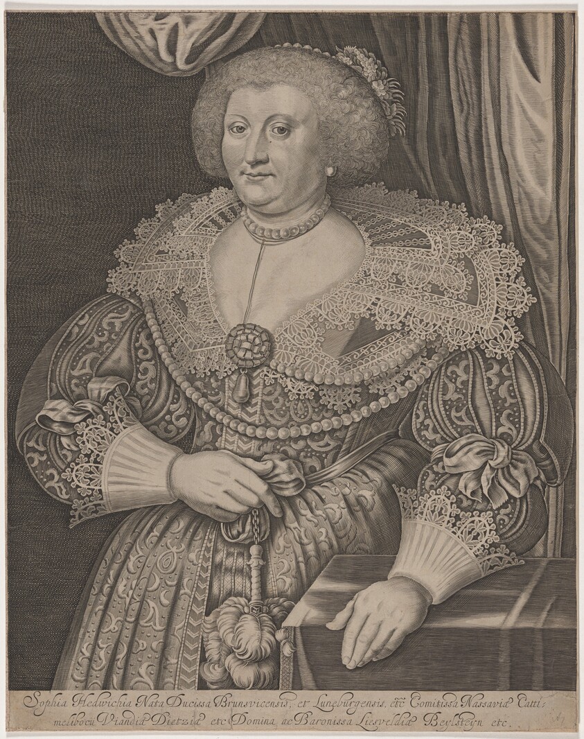 Sophia Hedwig, Duchess of Brunswick