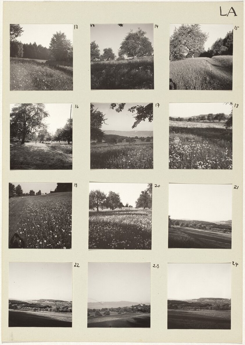 Die Landschaft (Landscape) 13-24