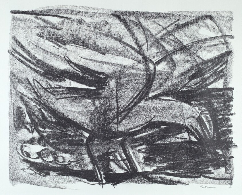 V from Sea Bird Saga