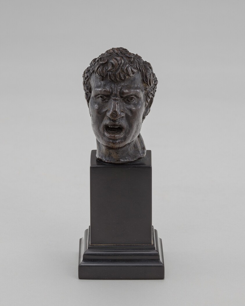 The Bust of a Man (Vulcan?)