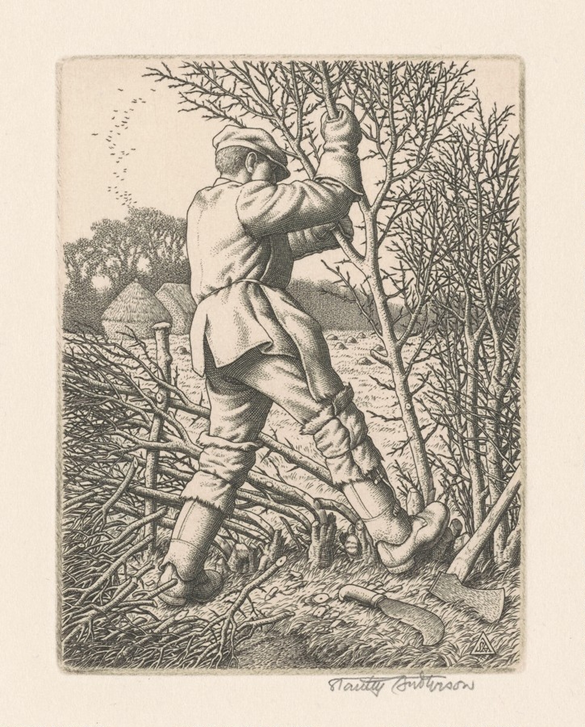 Hedge Laying, Stanley Anderson, 1945