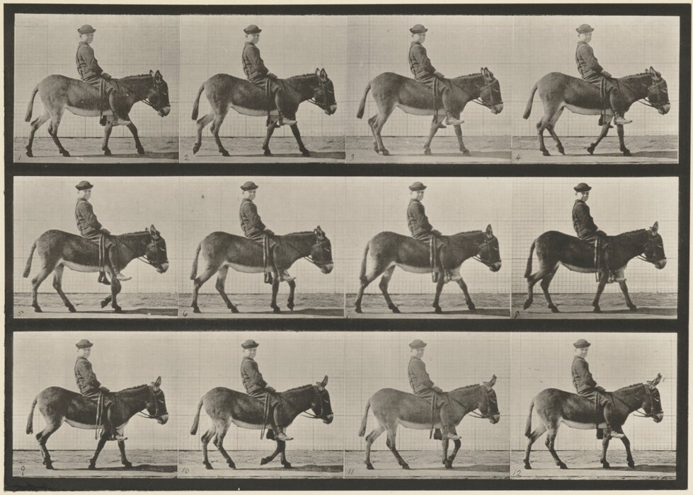 アート・デザイン・音楽 Eadweard Muybridge. Eadweard Muybridge - [Woman Opening Parasol] - The Metropolitan