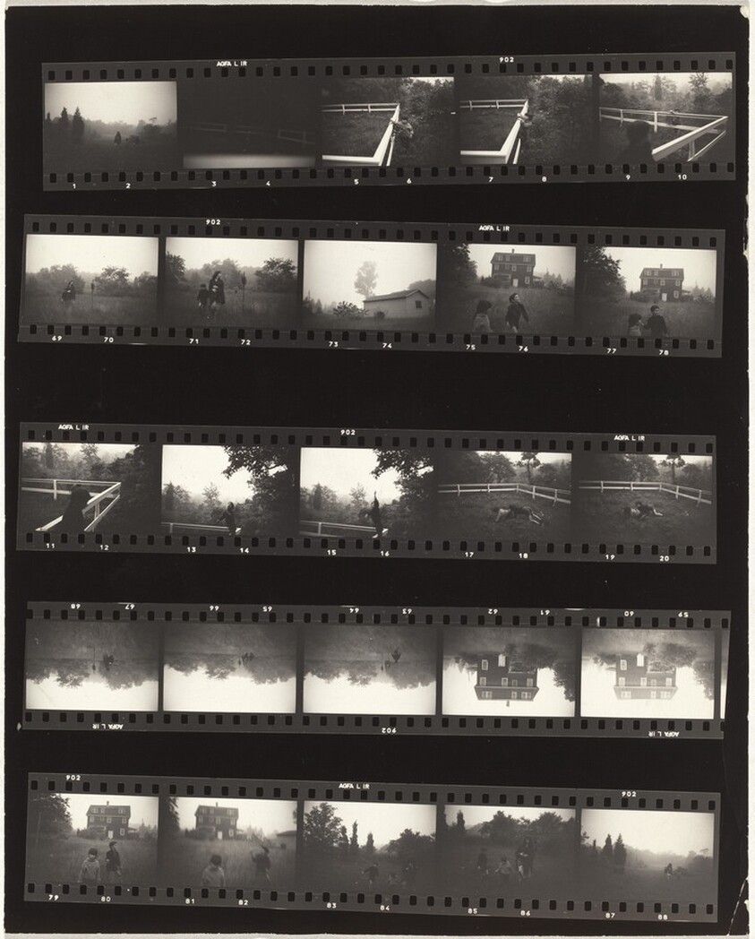 Long Island no number