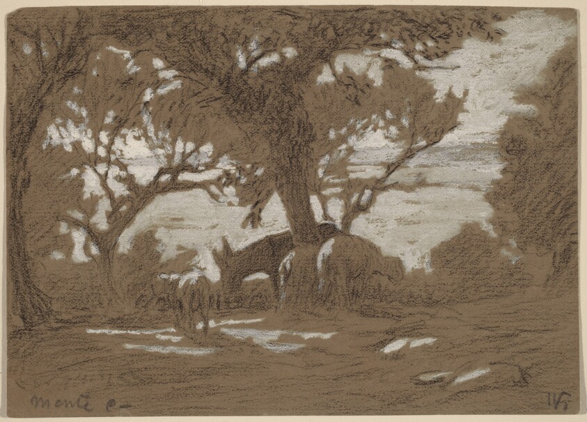 Mt. Colognola - Sheep Grazing on Lake Trasimeno