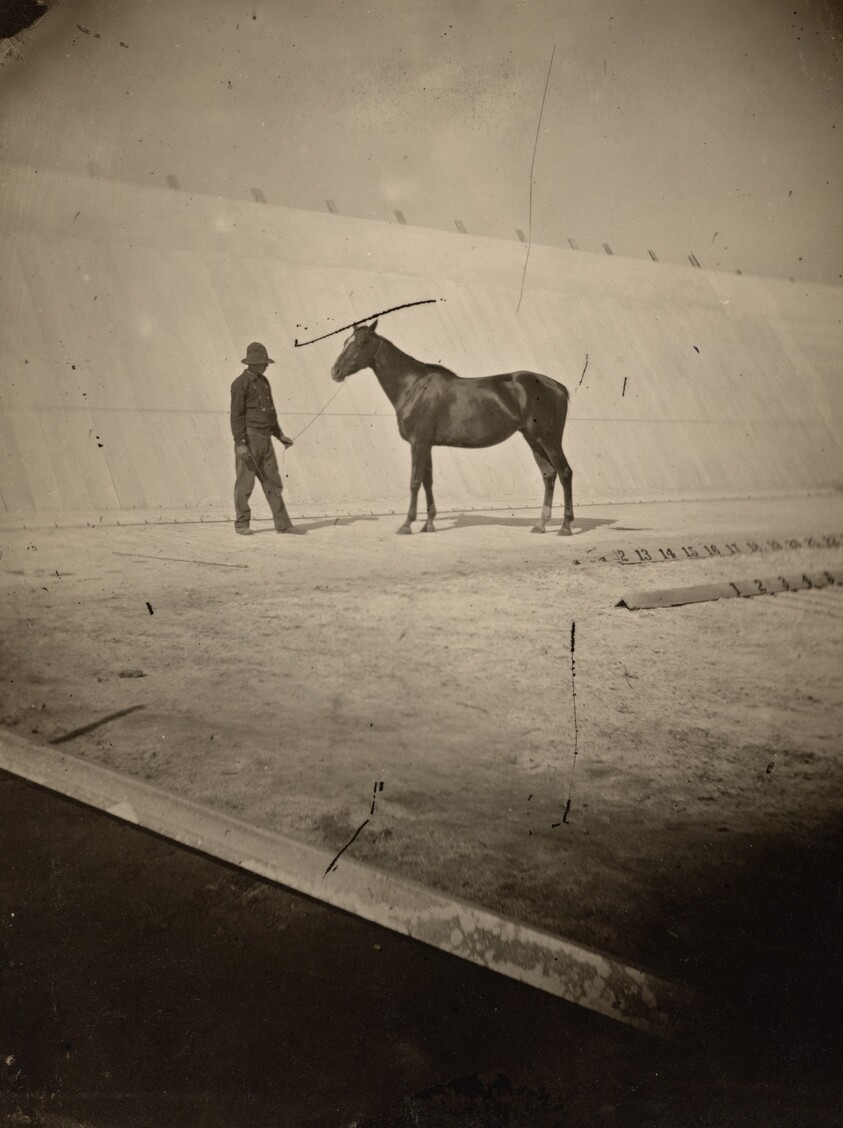 Detail of the Track at Leland Stanford's Horse Farm in Palo Alto