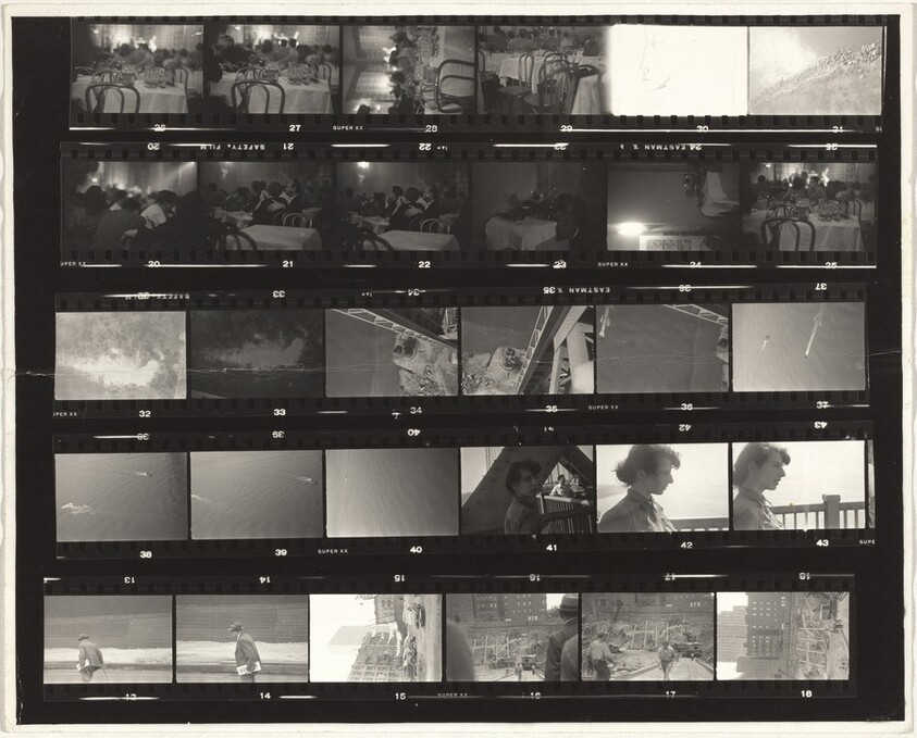 Family--New York City no number