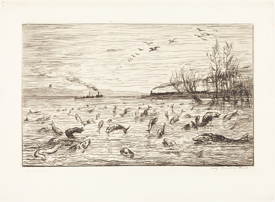 The image shows a scene with fish jumping out of the water. The perspective is at water level. The horizon is near the top third of the image with distant land and sparse trees to the right. A steamboat is visible in the distance. The sketch features detailed linework, creating movement and texture in the water and sky. The color palette is monochromatic with varying shades of brown on cream-colored paper. Fish are jumping out of the water in the foreground, while birds are seen flying in the sky in the background.