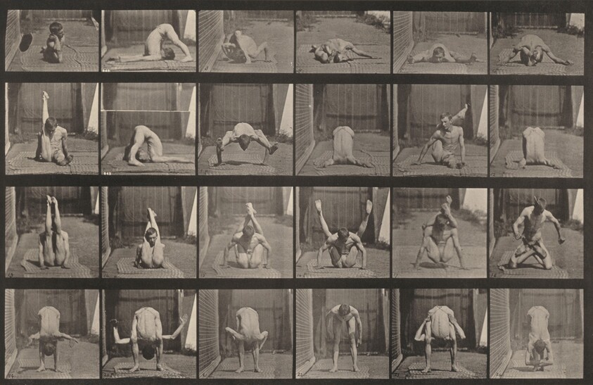 Plate Number 511. Contortions on the ground