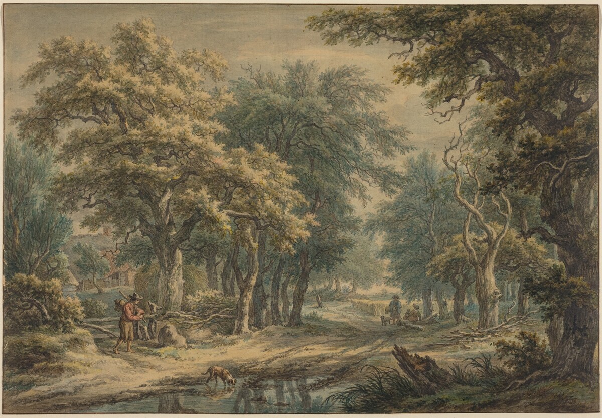 At Donderen, in the Woods of Drenthe