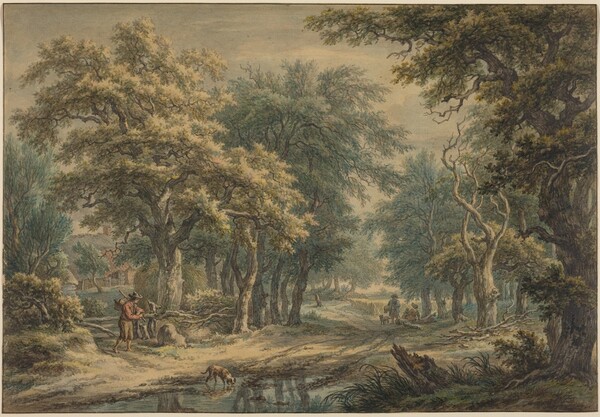 At Donderen, in the Woods of Drenthe