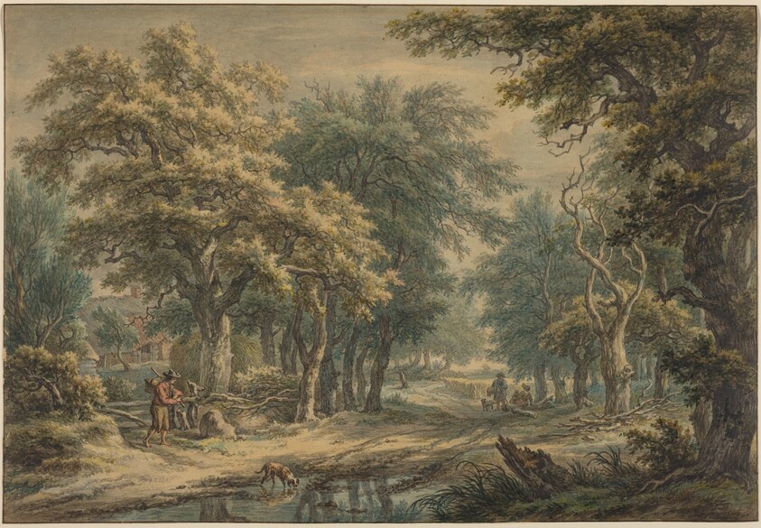 At Donderen, in the Woods of Drenthe