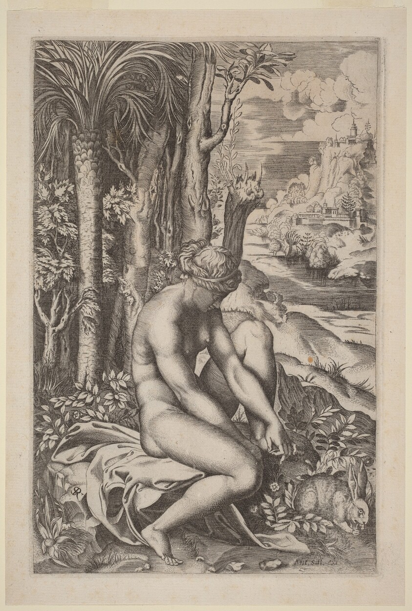 Venus Extracting a Thorn from Her Foot