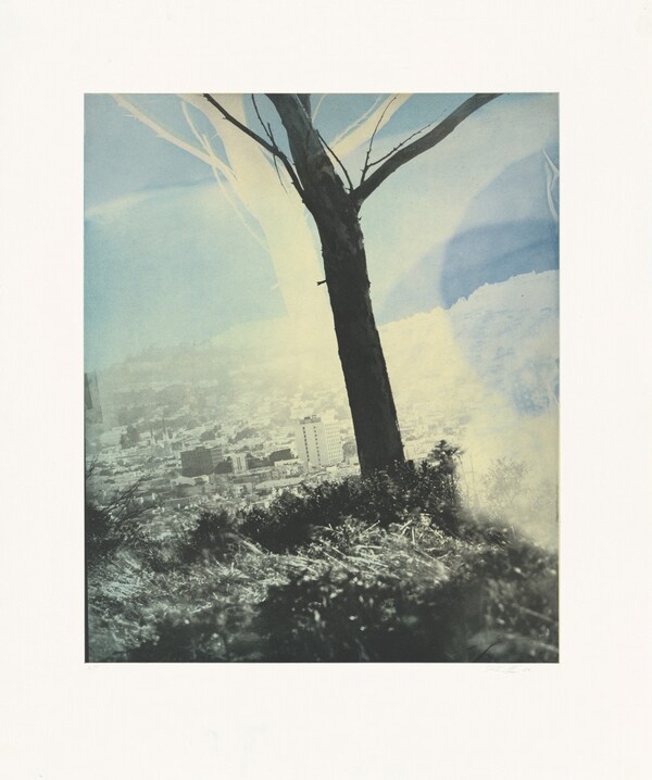 24th at Carolina (Left)