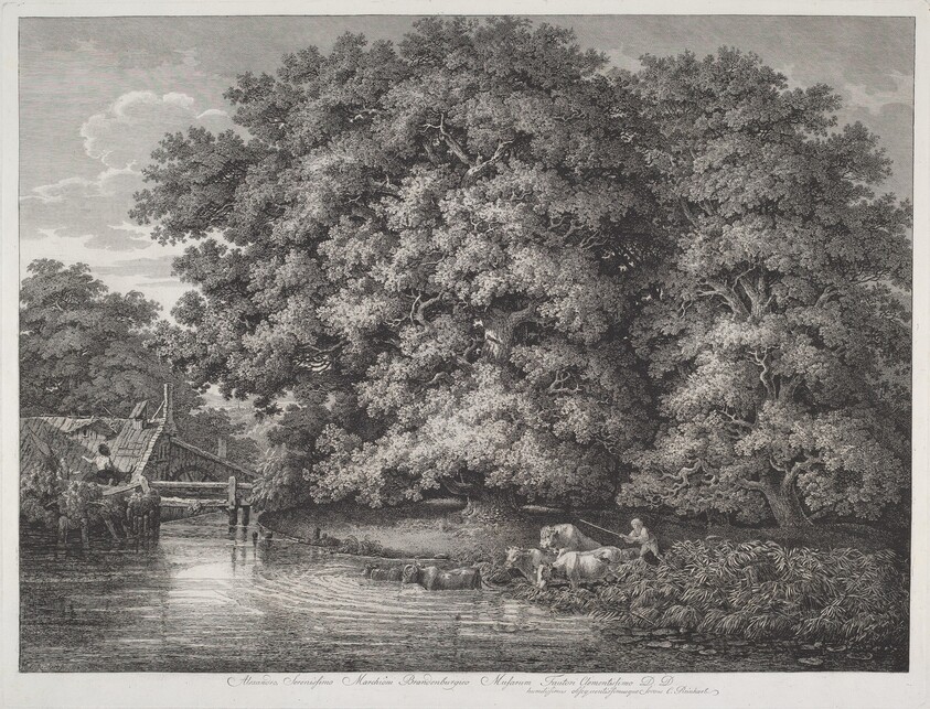 The Mill at the Great Oaks