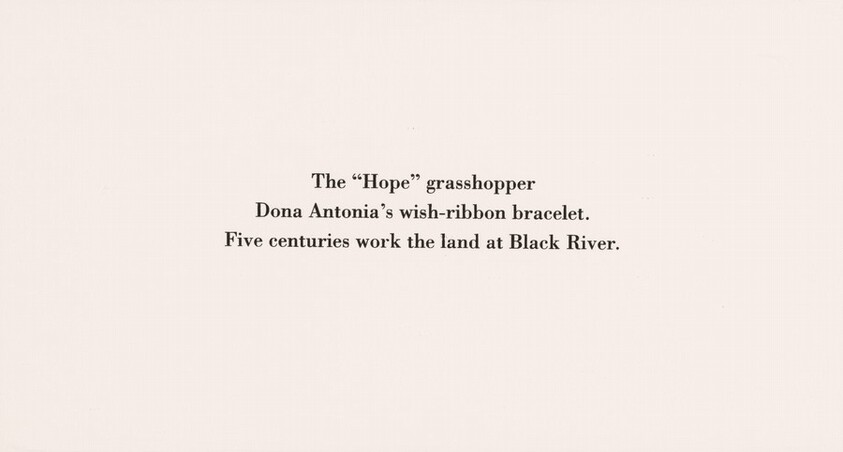 The "Hope" Grasshopper. Dona Antônia's Wish-Ribbon Bracelet. Five Centuries Work the Land at Black River.