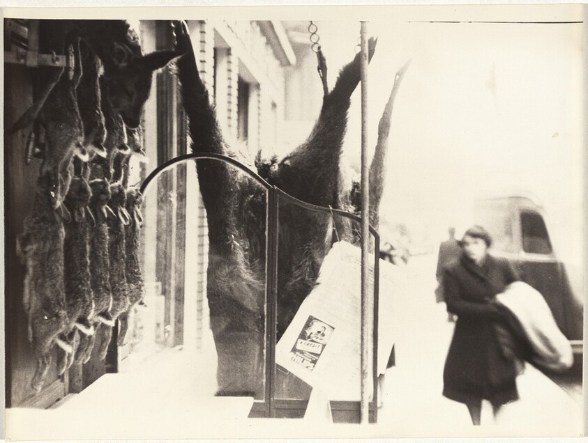 Butcher shop window, Paris
