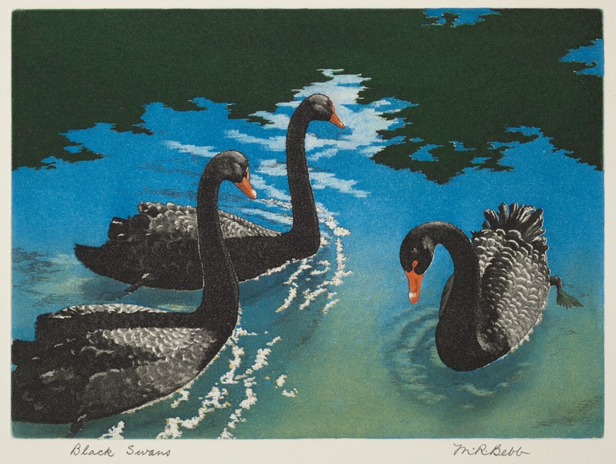 Black Swans