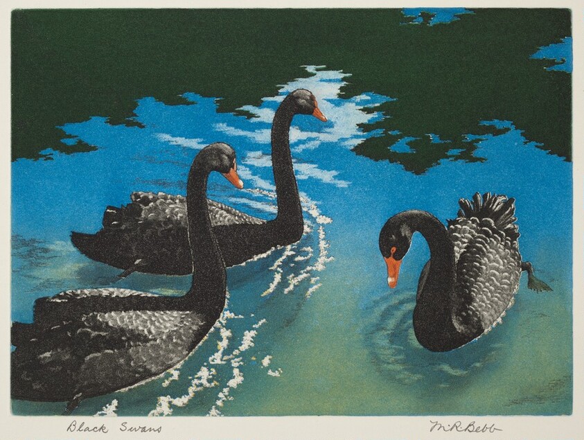 Black Swans