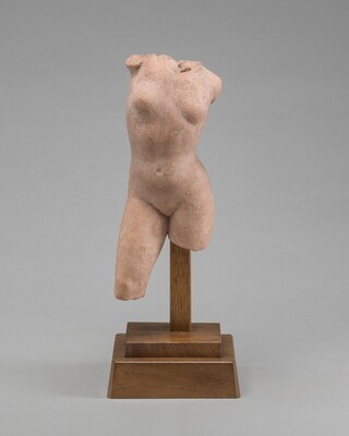Female Torso