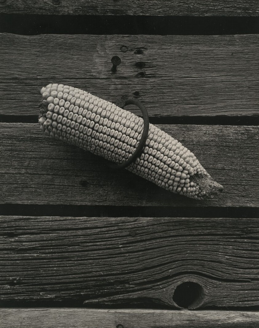 Uncle Harry's Farm outside Norfolk, Nebraska