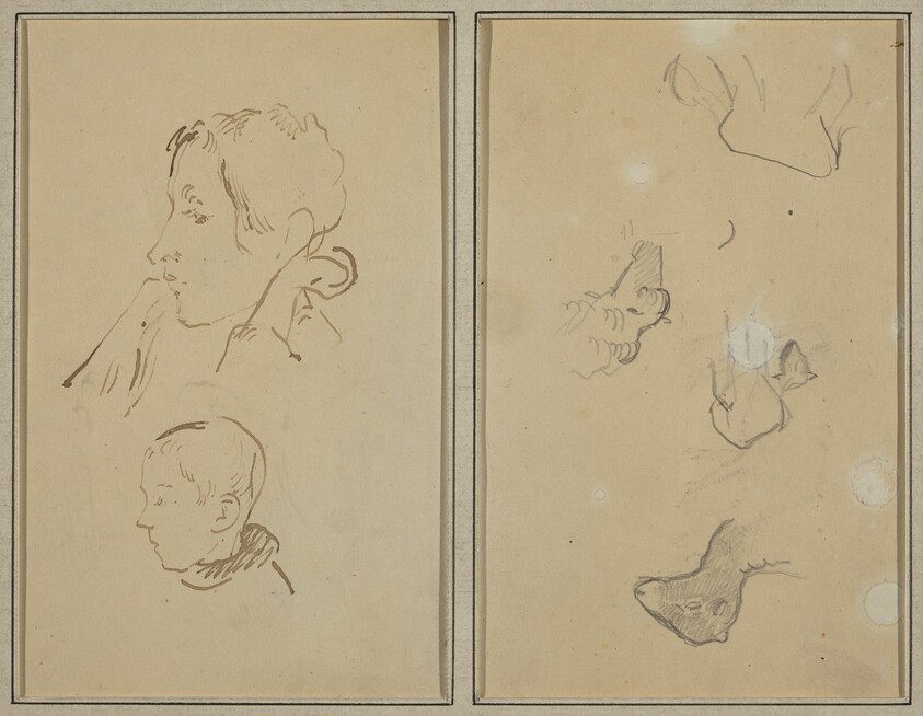 Two Heads; Studies of Sheep [recto]