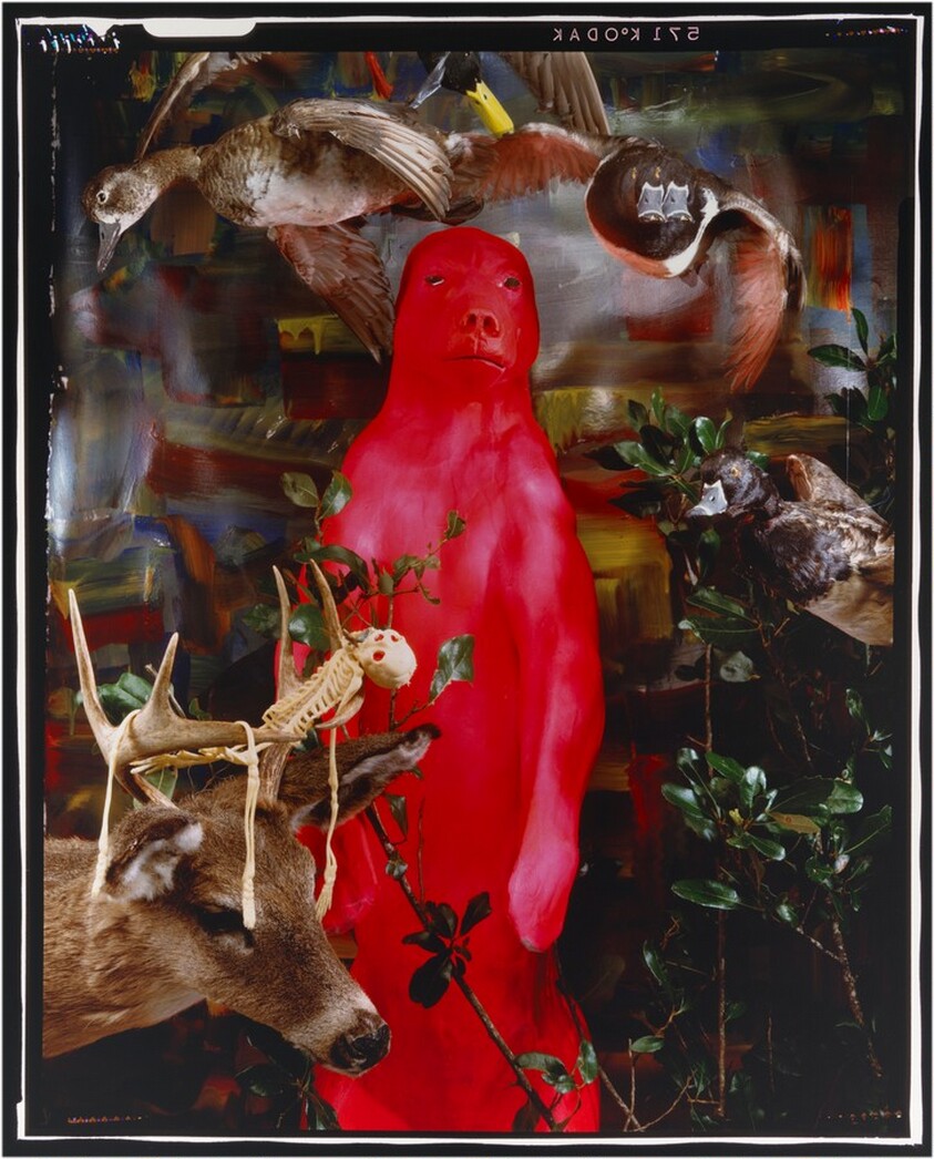 Nature Returns, Small Version