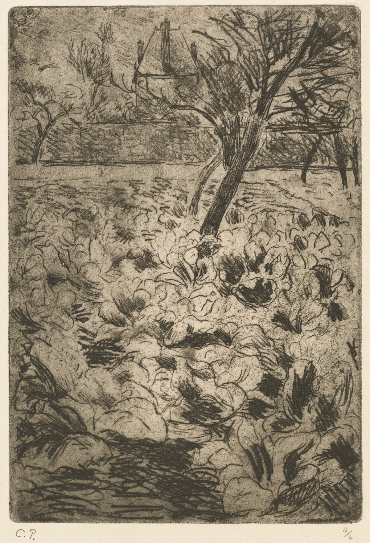 The Cabbage Field (Le Champ de choux)
