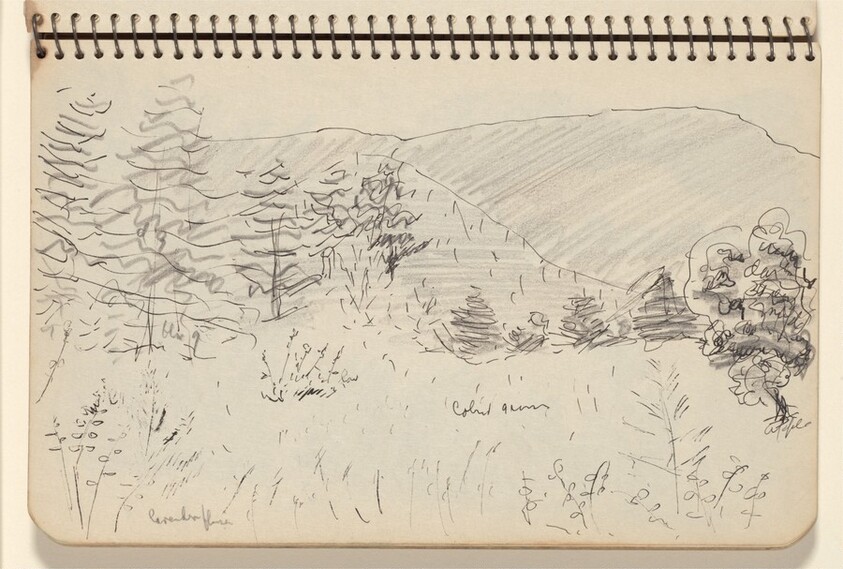 Trees Against the Hills