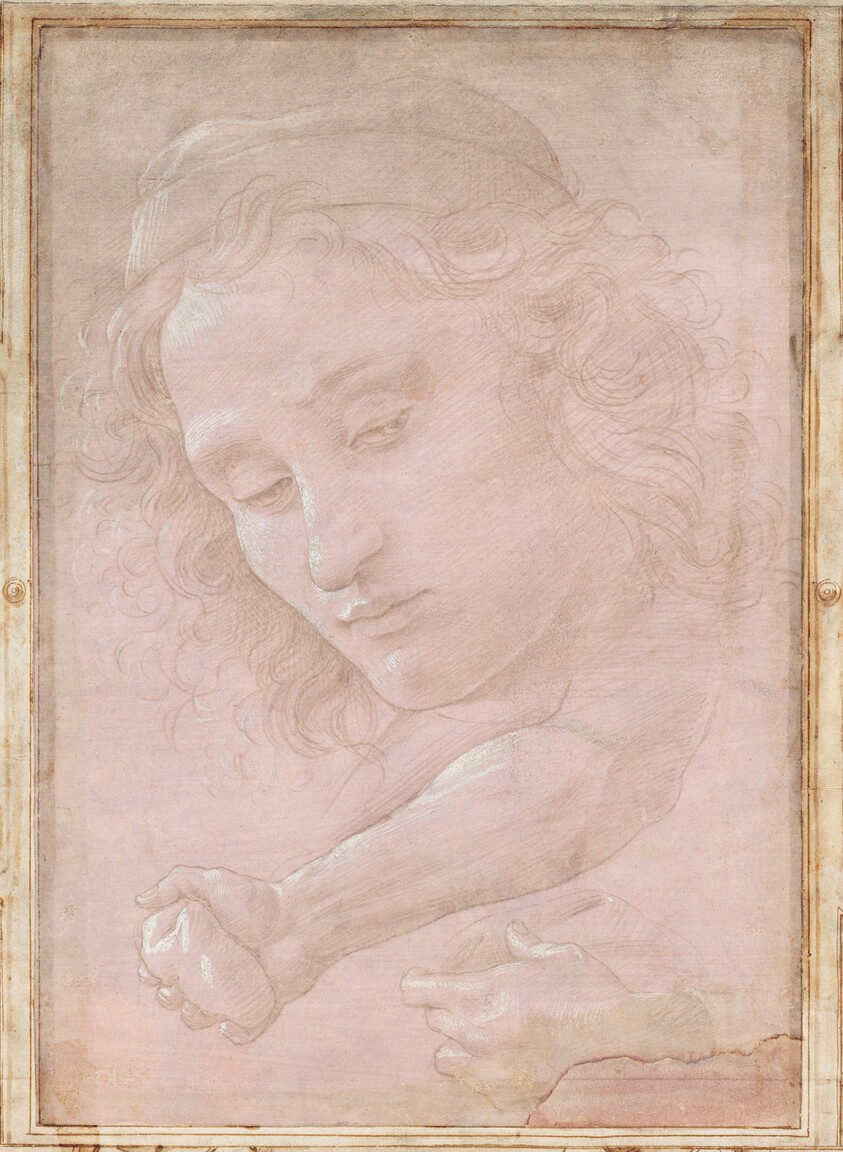 Head of a Youth Wearing a Cap; a Right Forearm with the Hand Clutching a Stone; and a Left Hand Holding a Drapery