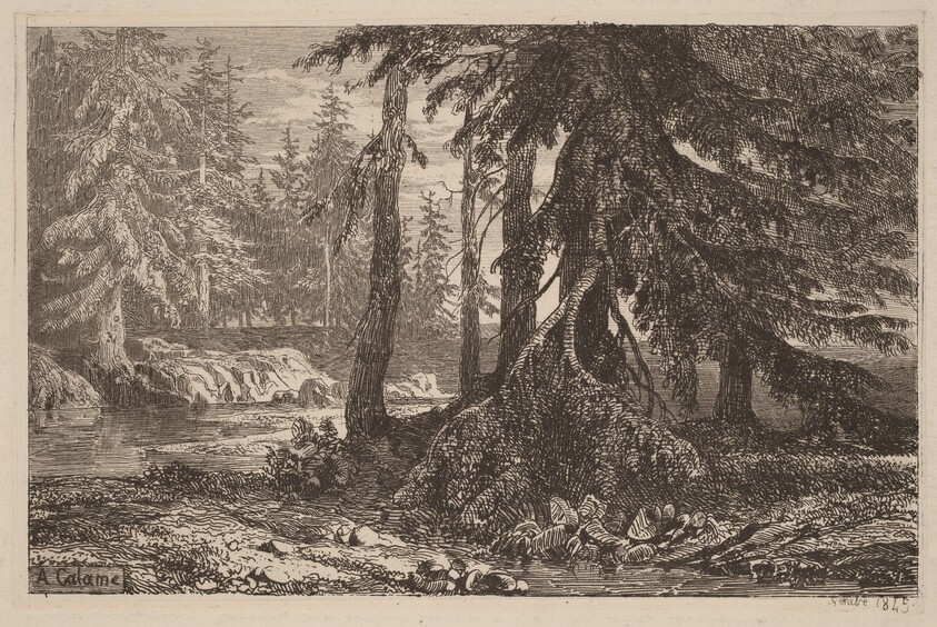 Essais de gravure à l'eau forte par Alexandre Calame, III, pl. 16