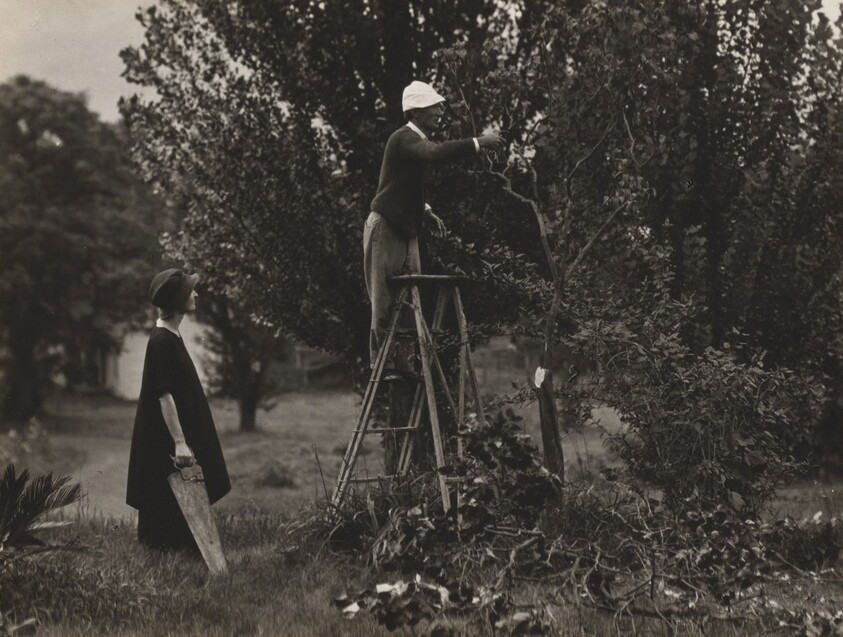 Georgia O'Keeffe and Donald Davidson Pruning Trees