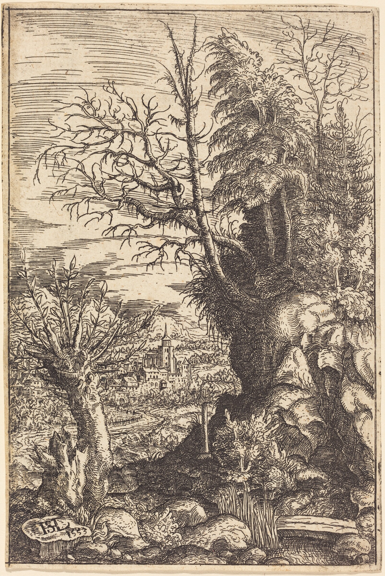 Landscape with a Willow, Hanns Lautensack, 1553