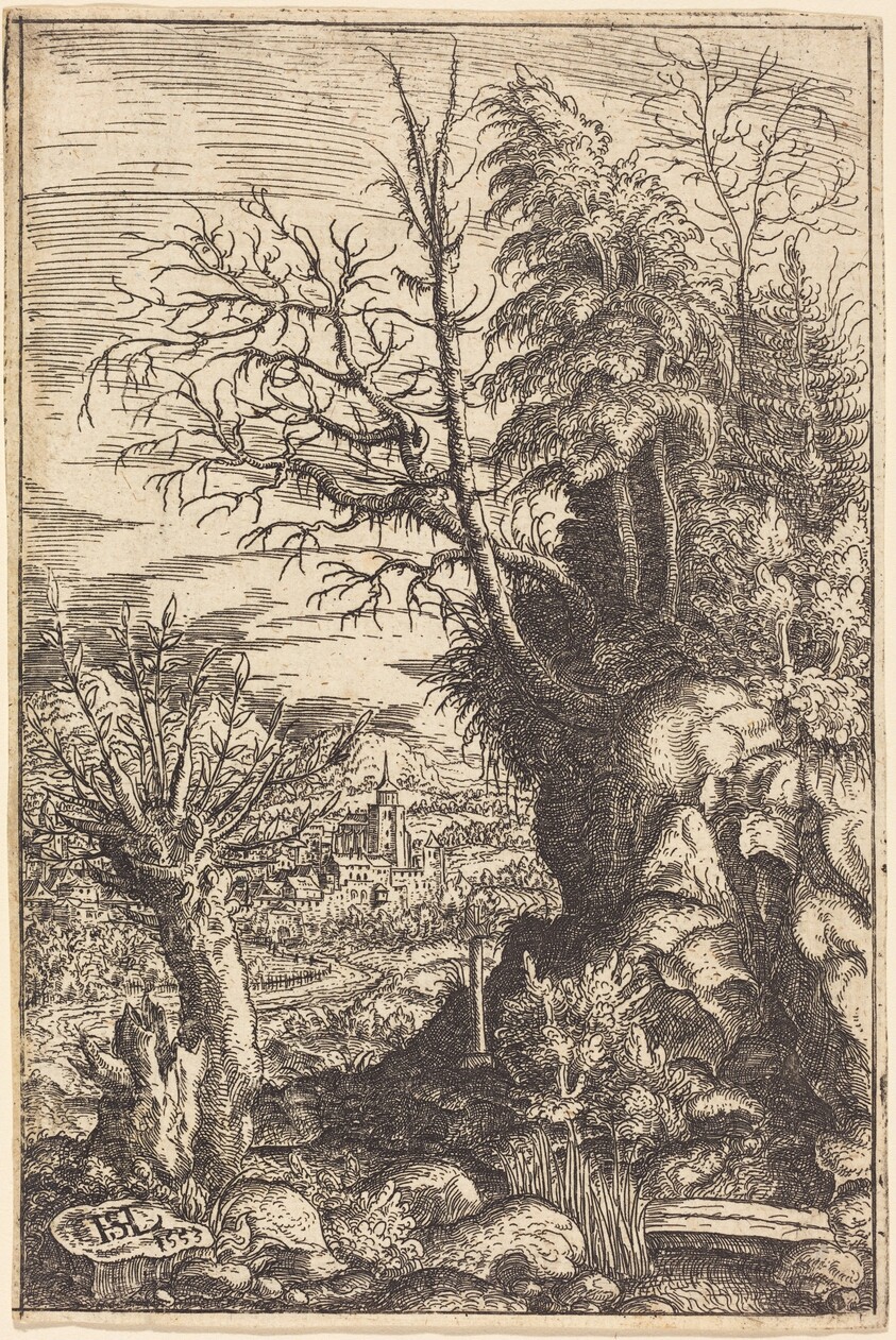 Landscape with a Willow
