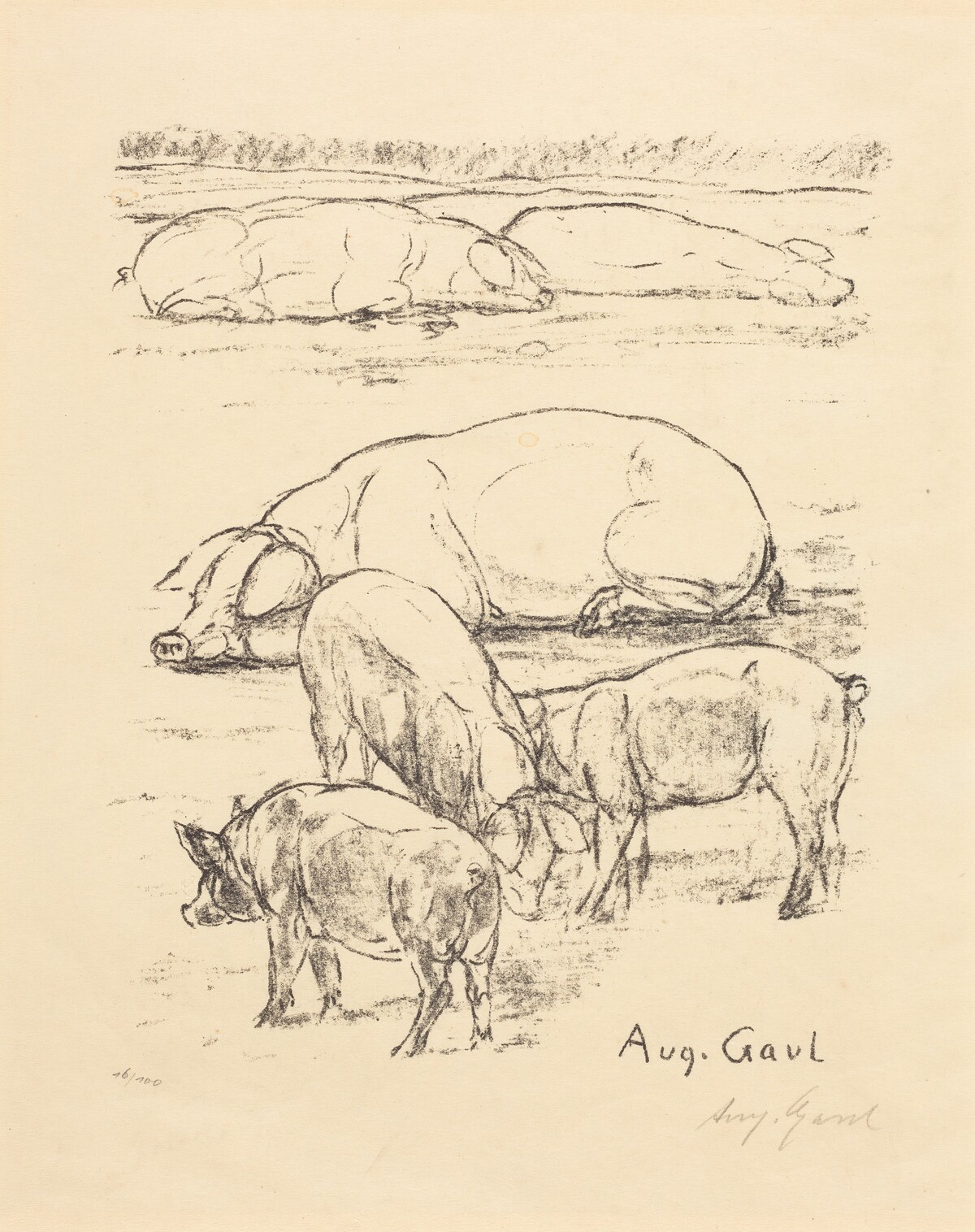 Pigs