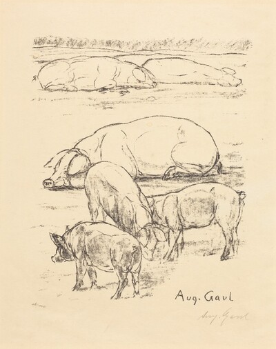 Pigs