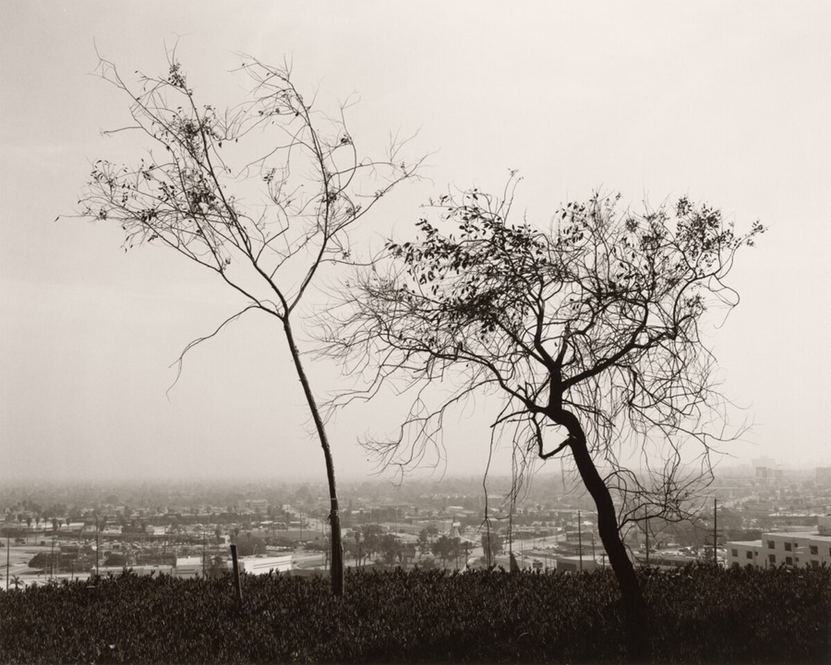 On Signal Hill, overlooking Long Beach, California