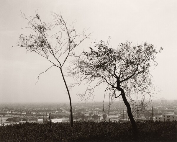 On Signal Hill, overlooking Long Beach, California